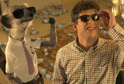 My Campaignings - Compare the Meerkat