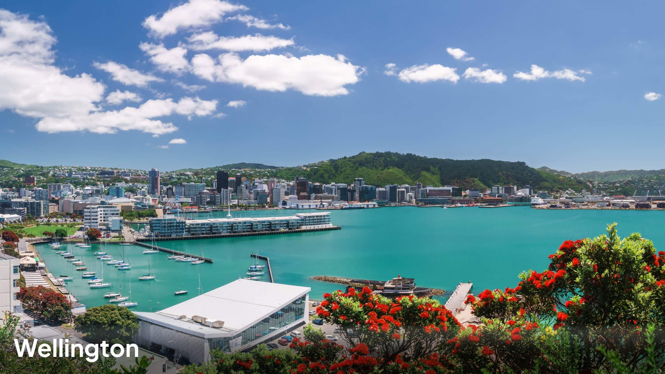 Wellington cityscape