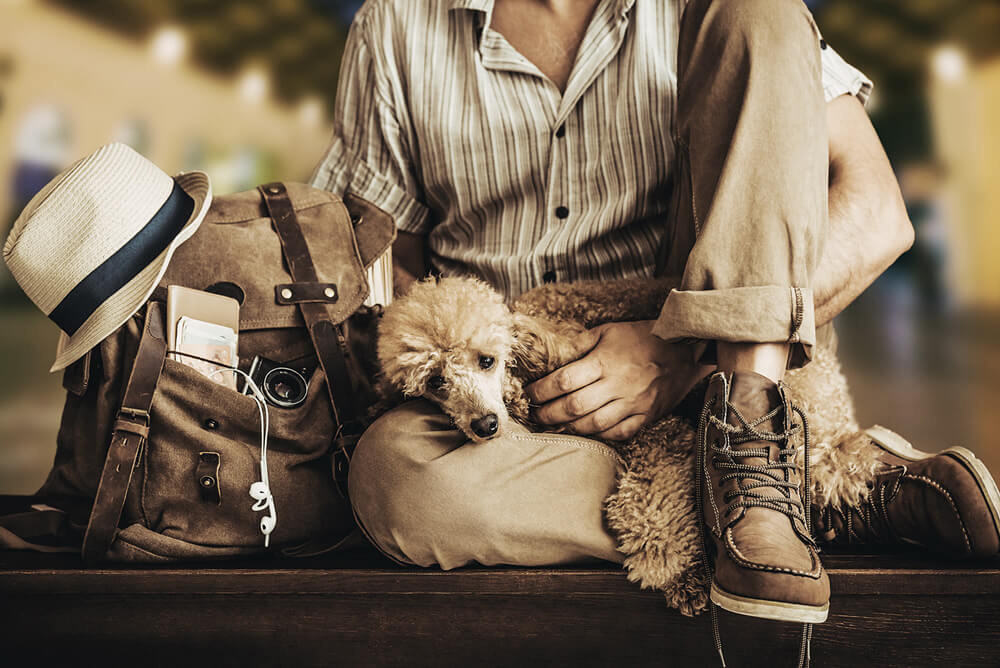 a traveler cuddling with a dog at a train station